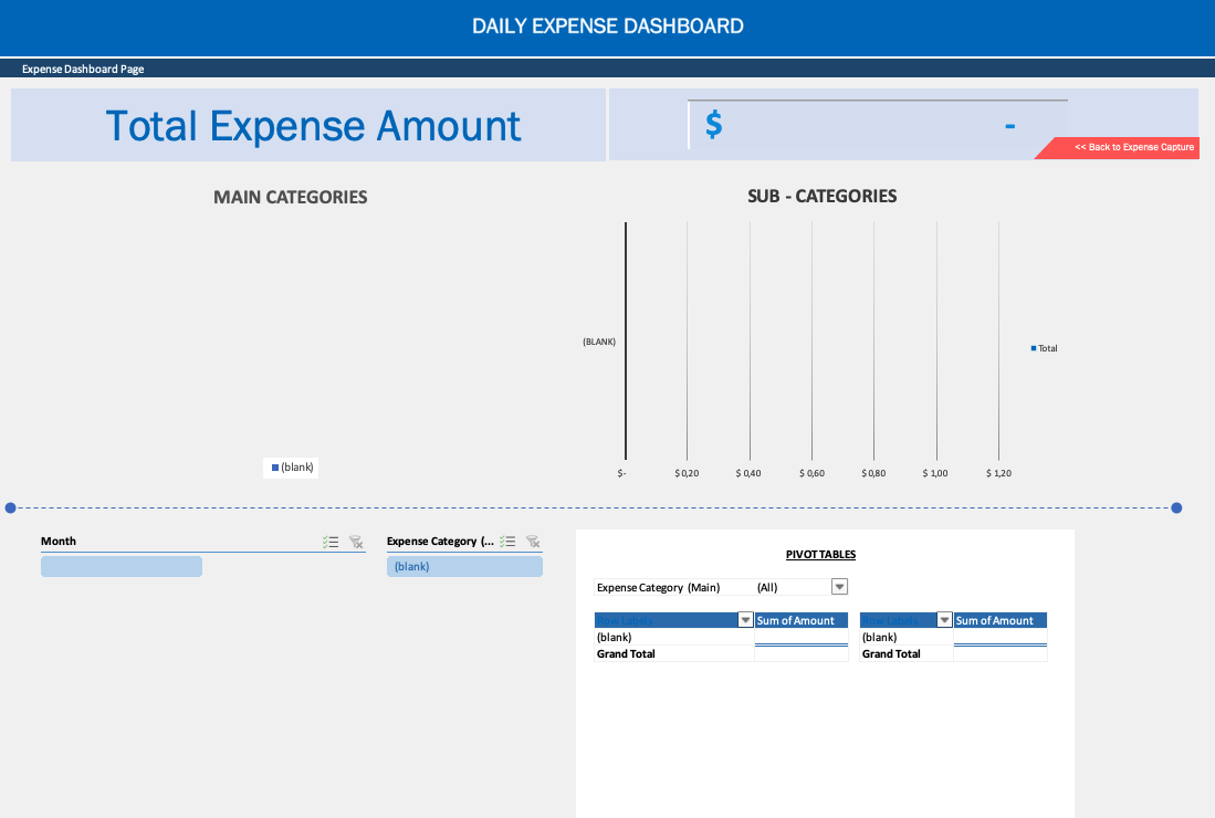 daily expense sheet